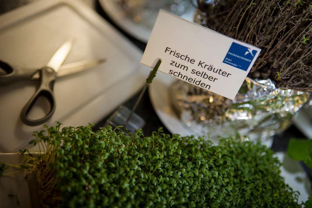 זוננאלפה נאספלד Falkensteiner Family Hotel Sonnenalpe מסעדה תמונה